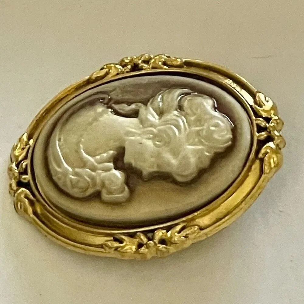 Exquisite Vintage Style Cameo Brooch Womens Elegant Beauty Accessory Pin